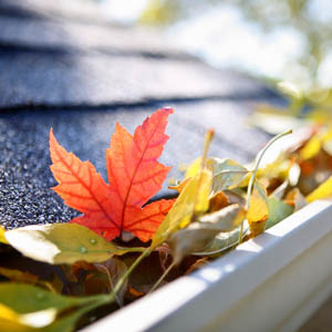 clear the gutters around your home